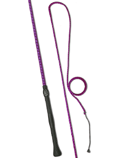 Lunge Whips