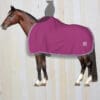 Mattes Fleece Rug with Rider Cutout Pink