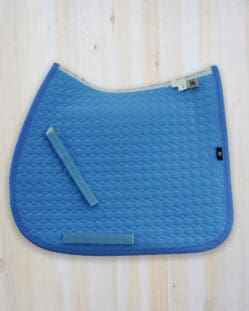 light blue saddle pad, all purpose pony