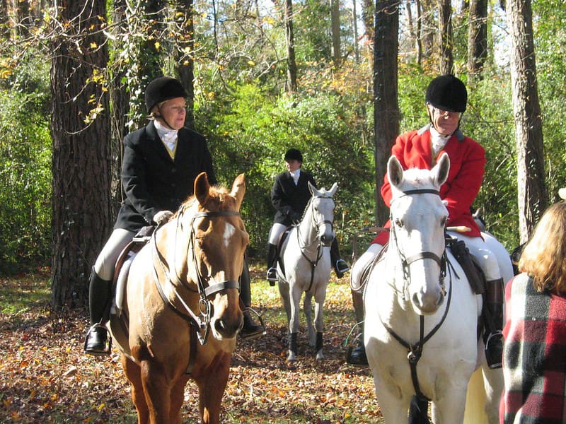 A comprehensive guide to all types of horse whips 8 Hunting Whips