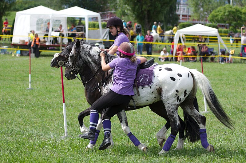 Pink Equine Sponsors Mounted Games Team USA 1 International Mounted Games