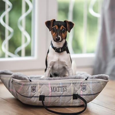 Homepage 23 Mattes Dog Beds 1