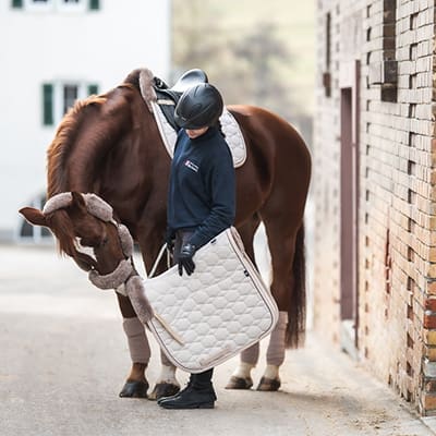 Homepage 18 Mattes Luxury Equestrian Kit