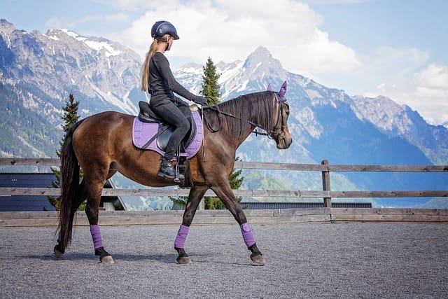 Premium Leather Riding Whips | Our 6 top choices 1 premium leather riding whips