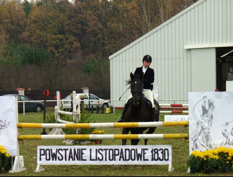 A comprehensive guide to all types of horse whips 4 Jumping Bats or showjumping whips