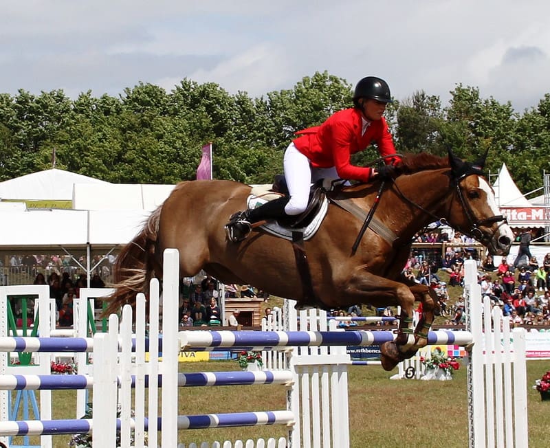 9 Affordable Horse Riding Whips 1 Affordable Horse Riding Whips