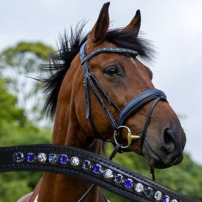 Homepage 17 browbands