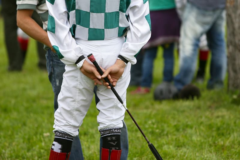 A comprehensive guide to all types of horse whips 20 jockey whips