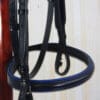 Pink Equine Black Royal Blue Padded Bridle Noseband