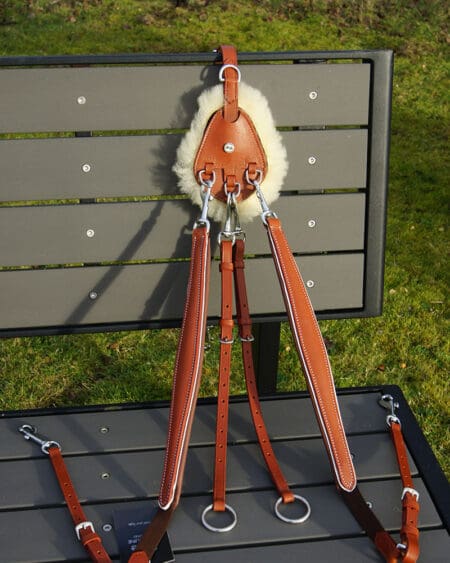 Pink Equine Leather Headcollar DSC02973