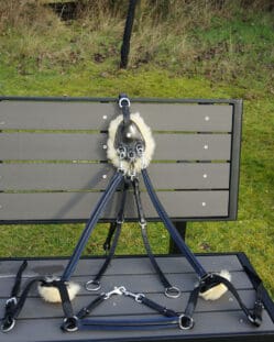 Pink Equine Leather 5 Point Breastplate Black with Royal Blue Piping Cob/Full