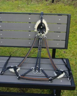 Pink Equine Leather 5 Point Breastplate Black with Orange Piping Cob/Full