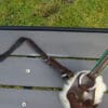 Pink Equine Leather Headcollar DSC03023