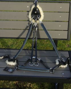 Pink Equine Leather 5 Point Breastplate Black with Atlantic Blue Piping Cob/Full