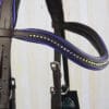Pink Equine Purple Wave Bridle Cob Size Browband