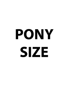 Sale - Pony