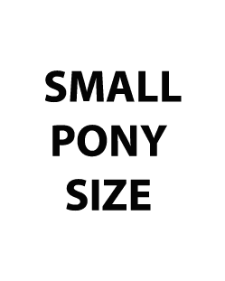 Sale - Small Pony