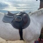 Mattes Custom Eurofit All Purpose Saddle Pad
