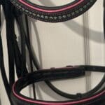 Pink Equine Bridle