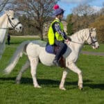 Mattes Special Crescent Girth