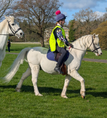 Mattes Special Crescent Girth