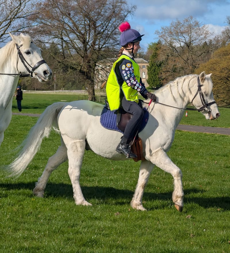 Homepage 26 Reviewer: Fiona T