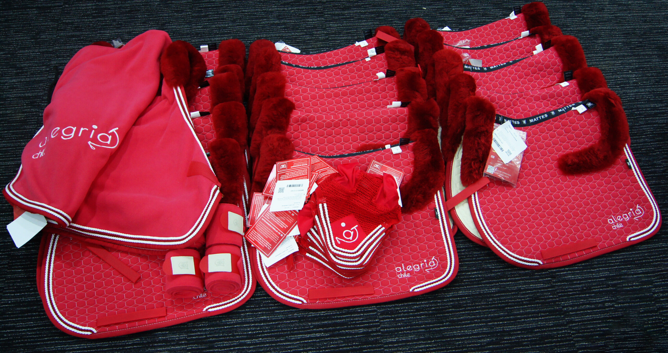 horse rug embroidery