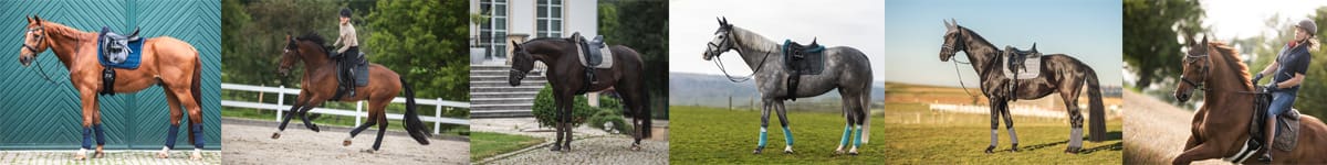 Best Girth for Sensitive Horses | Expert picks + Guide 10 Mattes Girth Customers 3