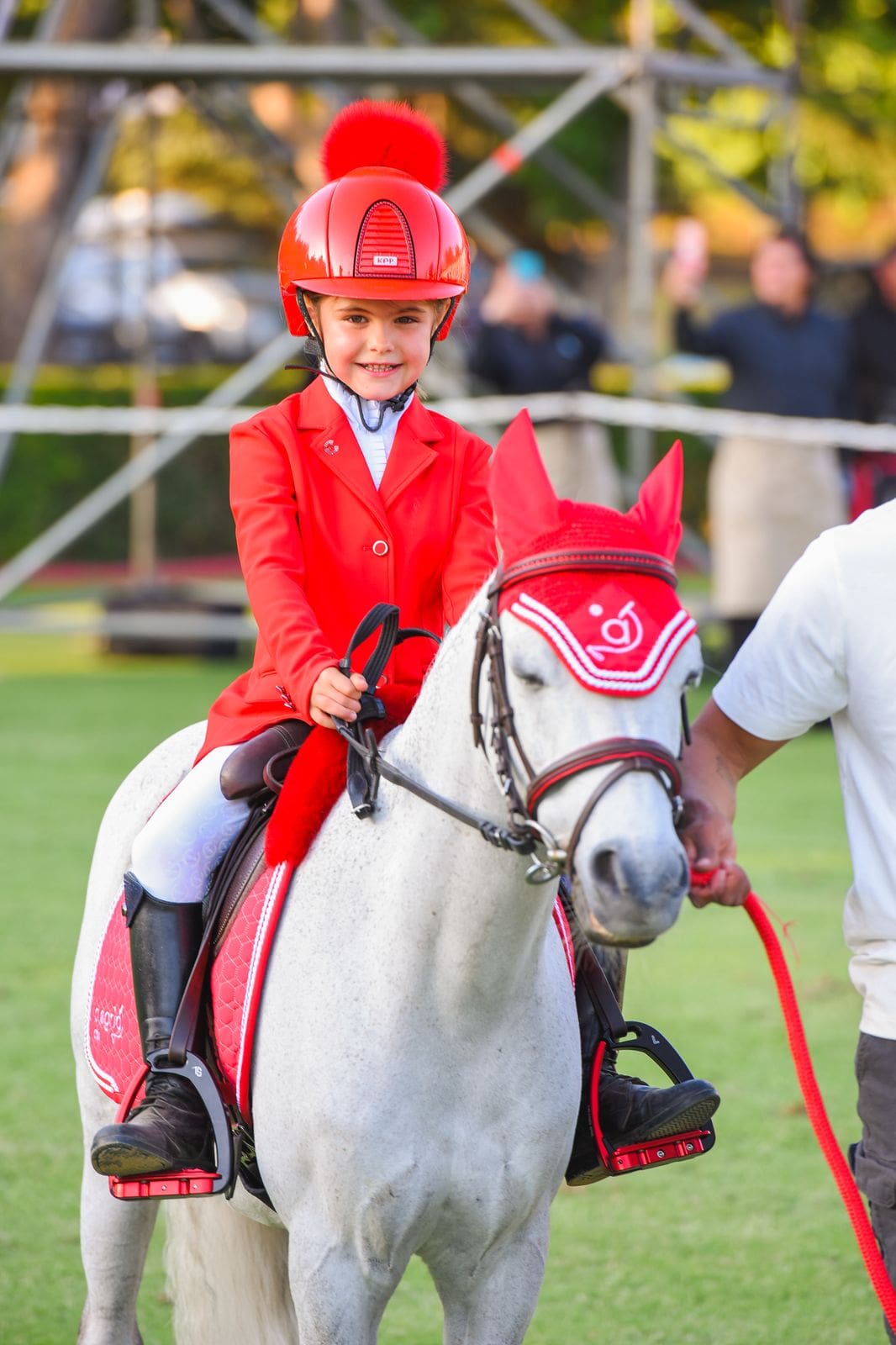 matching horse tack set