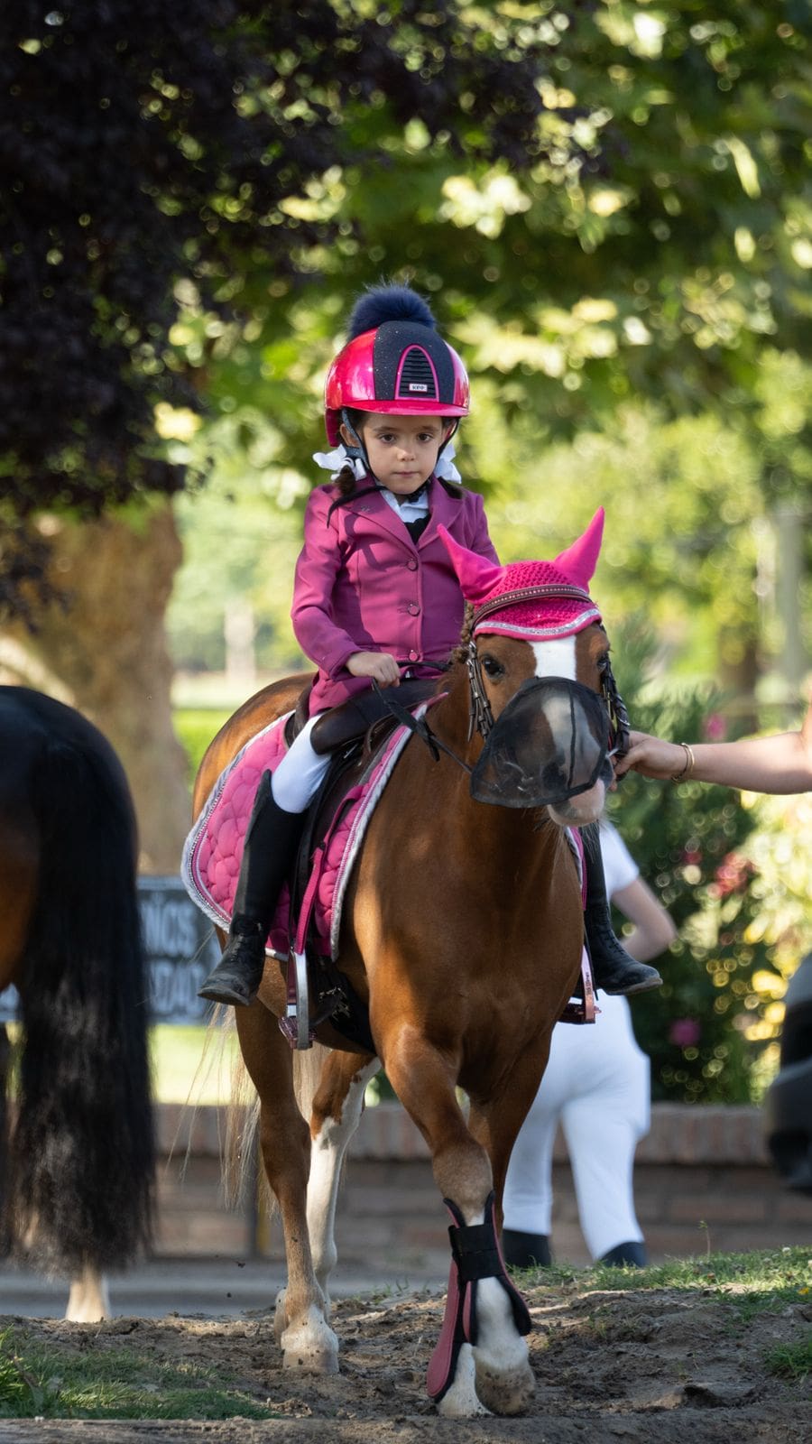 pink saddle pad and bonnet set