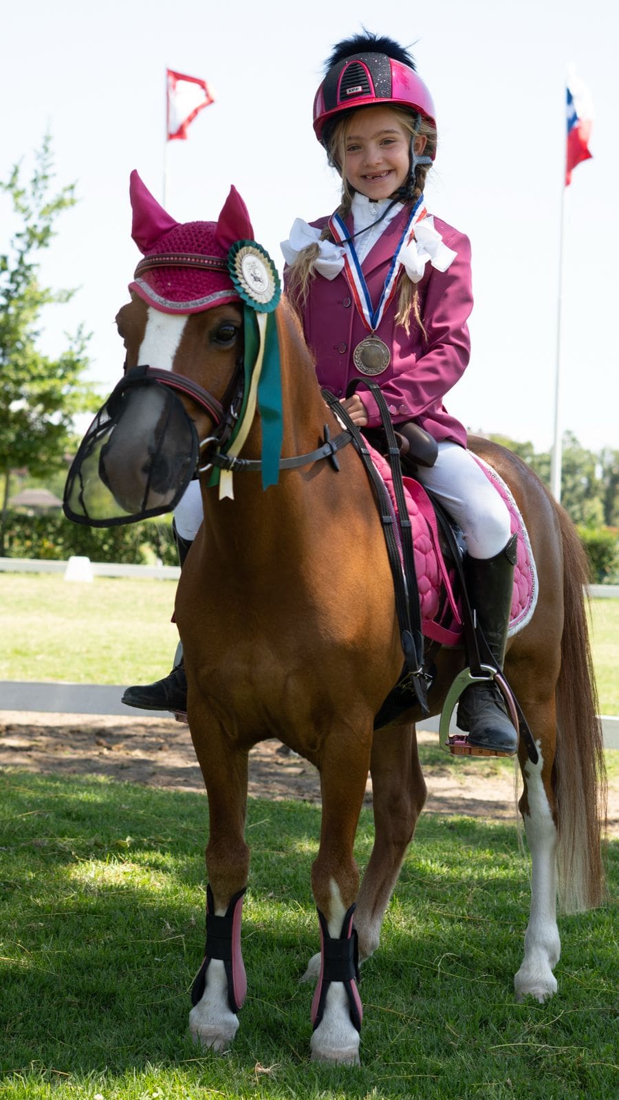 pink saddle pad and ear bonnet set