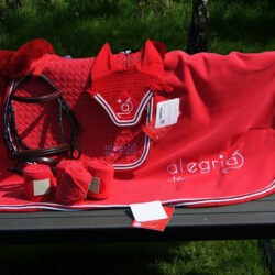 Homepage 54 Equestrian Embroidery A showcase in group branding