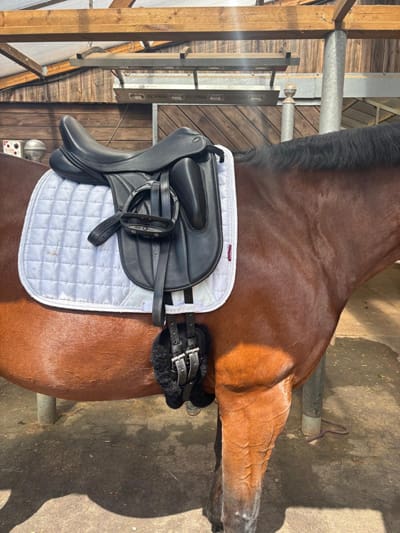 Best Horse Girths: A Comprehensive Buyer’s Guide 2 dressage girths