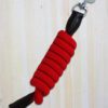 red lead rope with leather ends