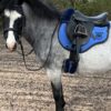 Mattes Special Cotton Long Girth on Pony