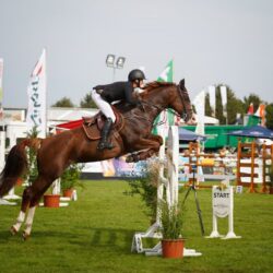showjumping whip rules