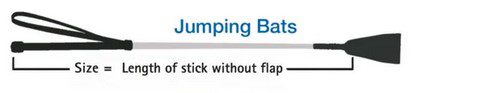 British Showjumping whip rules