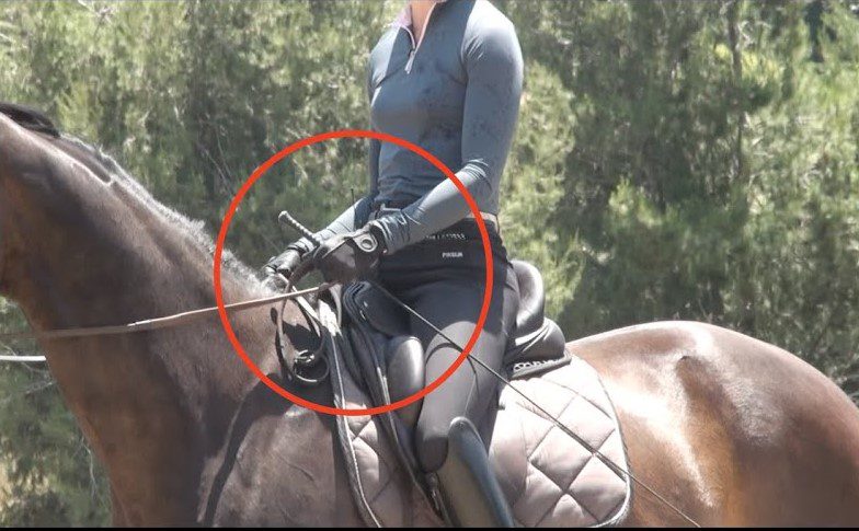 the correct way to hold a riding whip