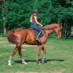 How to switch a riding whip