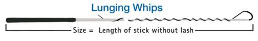 Lunging whip sizes