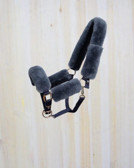 Mattes Blue Headcollar 1 Large