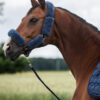 Mattes Blue Headcollar Large