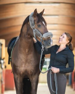 Mattes Sheepskin Headcollar Sand with Khaki Sheepskin - Large