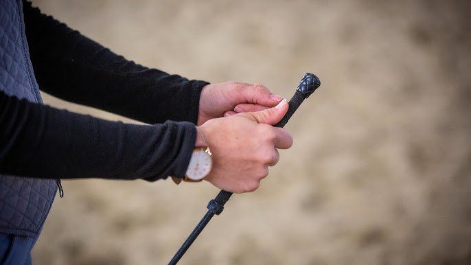 correct way to hold a whip