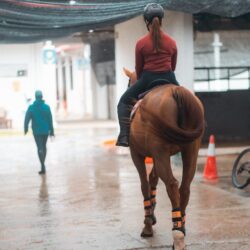 whip rules in warm up