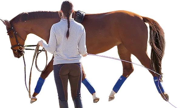 Touchier Groundwork Whip