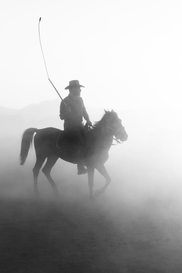 Cultural differences in horse riding