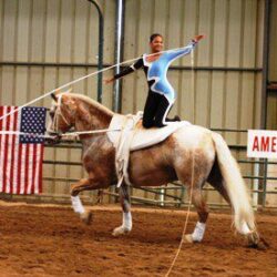 equestrian vaulting whips