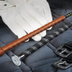 how many whips does a rider need