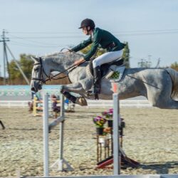 how to use a jumping bat